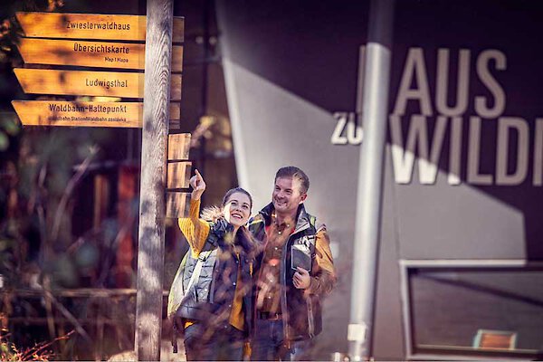 Wandern in der Arberregion Bayern